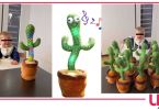 cactus danzante ferragnez