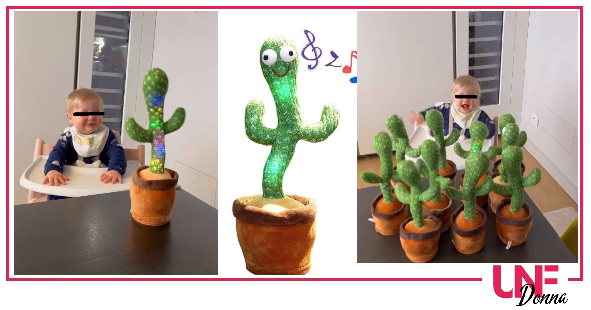 cactus danzante ferragnez