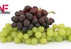 consigli uva