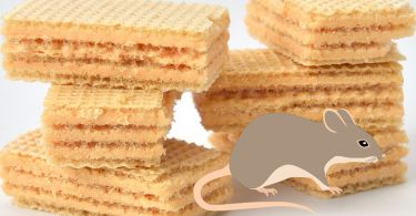 wafer sapore