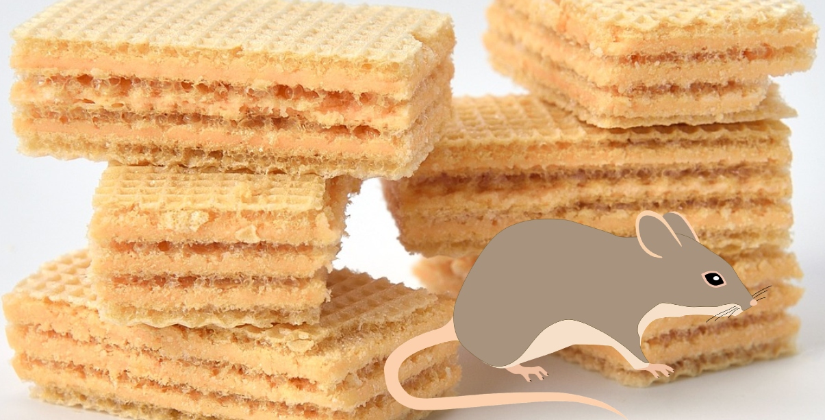 wafer sapore